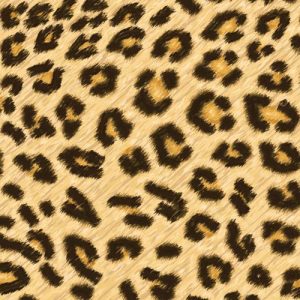 Leopard Print Undercut For Women